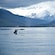 A person photographing a whale tail poking out of the water against a backdrop of a frosty mountain range